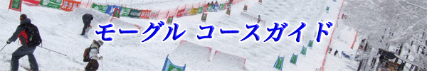 モーグル コースガイド 2008